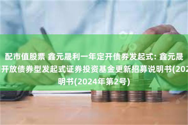 配市值股票 鑫元晟利一年定开债券发起式: 鑫元晟利一年定期开放债券型发起式证券投资基金更新招募说明书(2024年第2号)