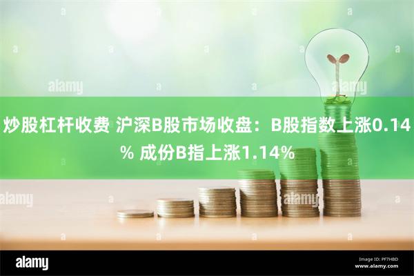 炒股杠杆收费 沪深B股市场收盘：B股指数上涨0.14% 成份B指上涨1.14%