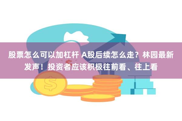 股票怎么可以加杠杆 A股后续怎么走？林园最新发声！投资者应该积极往前看、往上看