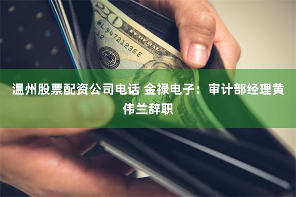 温州股票配资公司电话 金禄电子：审计部经理黄伟兰辞职