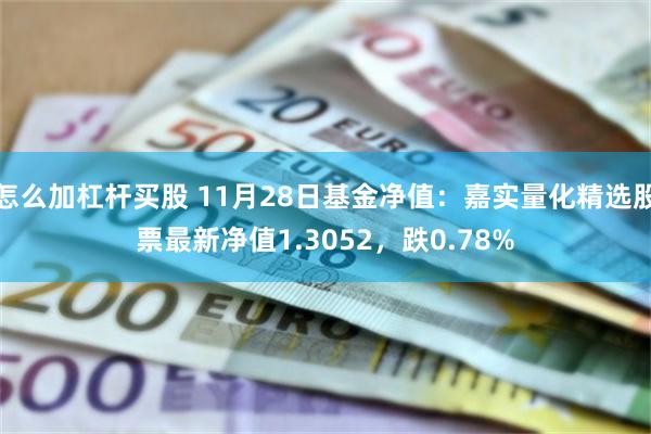 怎么加杠杆买股 11月28日基金净值：嘉实量化精选股票最新净值1.3052，跌0.78%