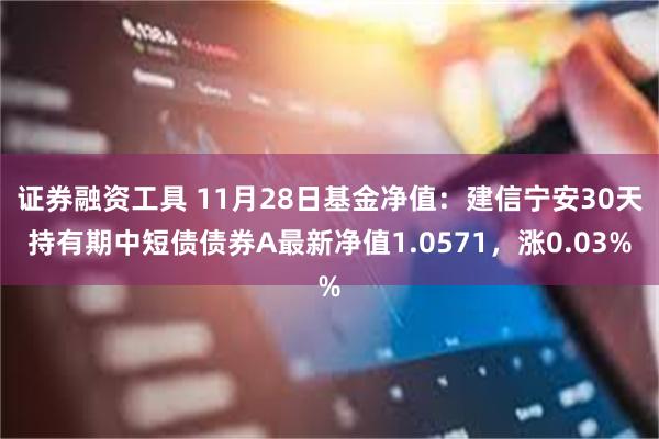 证券融资工具 11月28日基金净值：建信宁安30天持有期中短债债券A最新净值1.0571，涨0.03%