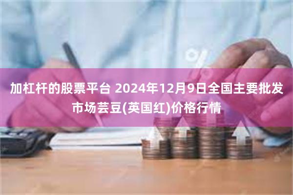 加杠杆的股票平台 2024年12月9日全国主要批发市场芸豆(英国红)价格行情