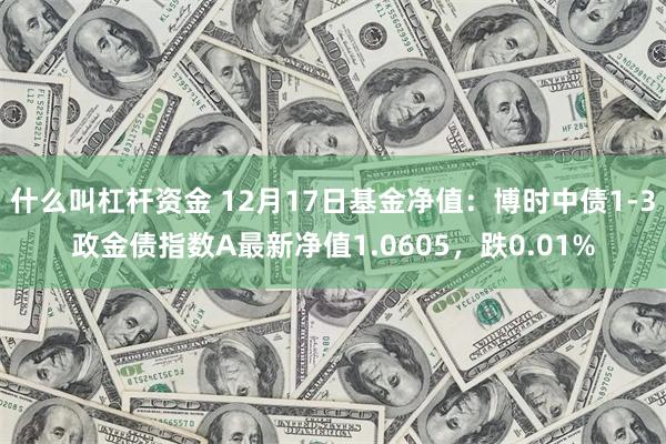 什么叫杠杆资金 12月17日基金净值：博时中债1-3政金债指数A最新净值1.0605，跌0.01%