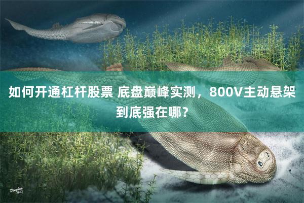 如何开通杠杆股票 底盘巅峰实测，800V主动悬架到底强在哪？