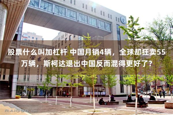 股票什么叫加杠杆 中国月销4辆，全球却狂卖55万辆，斯柯达退出中国反而混得更好了？