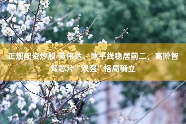 正规配资炒股 英伟达、地平线稳居前二，高阶智驾芯片“双强”格局确立