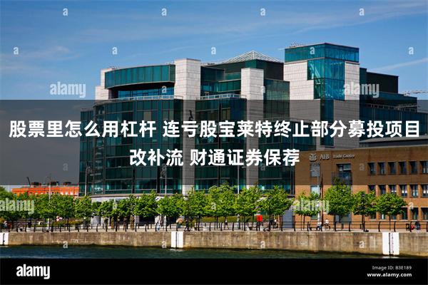 股票里怎么用杠杆 连亏股宝莱特终止部分募投项目改补流 财通证券保荐